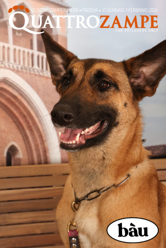 Concorso Fotografico - QuattroZampe in Fiera - Padova - Gennaio/Febbraio 2026