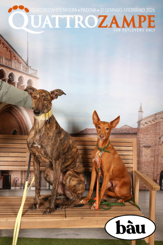 Concorso Fotografico - QuattroZampe in Fiera - Padova - Gennaio/Febbraio 2026