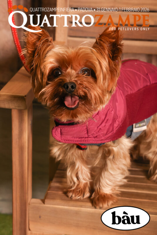 Concorso Fotografico - QuattroZampe in Fiera - Padova - Gennaio/Febbraio 2026