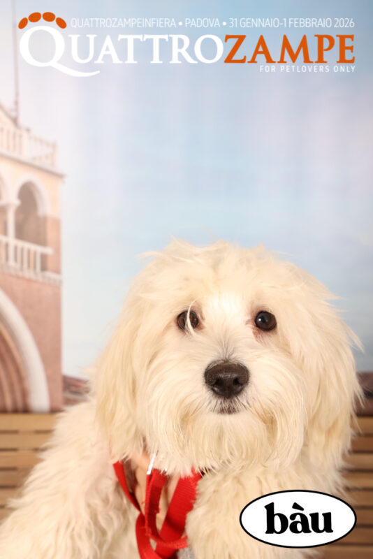 Concorso Fotografico - QuattroZampe in Fiera - Padova - Gennaio/Febbraio 2026