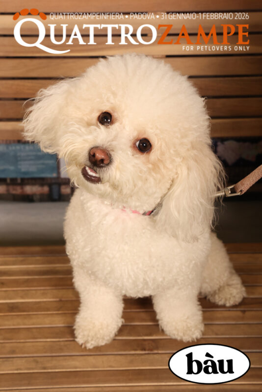 Concorso Fotografico - QuattroZampe in Fiera - Padova - Gennaio/Febbraio 2026