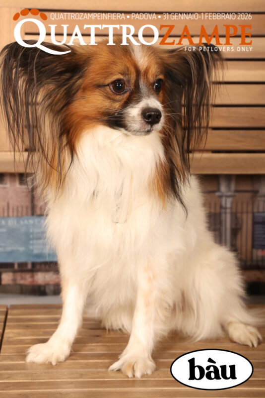 Concorso Fotografico - QuattroZampe in Fiera - Padova - Gennaio/Febbraio 2026