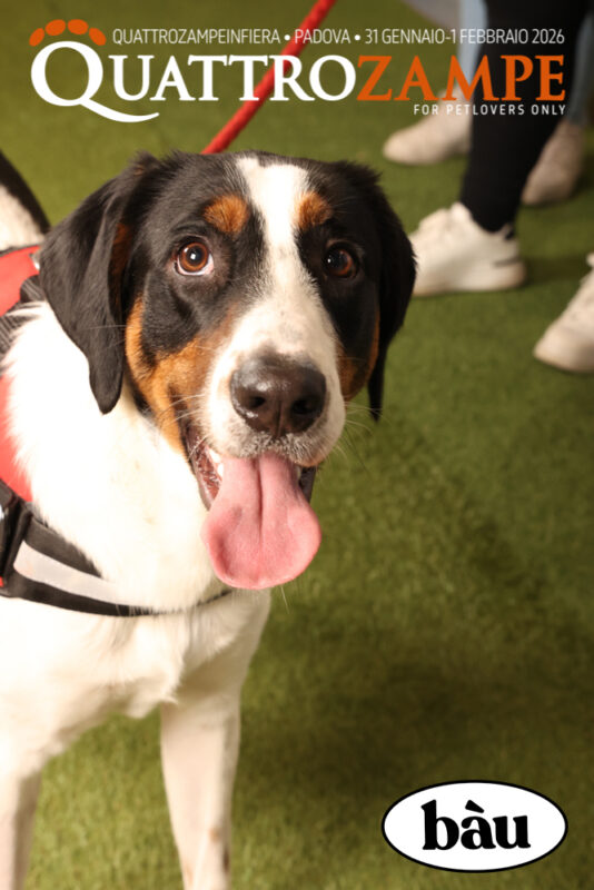 Concorso Fotografico - QuattroZampe in Fiera - Padova - Gennaio/Febbraio 2026