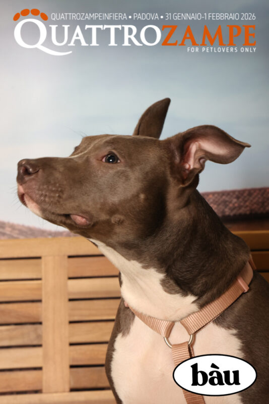Concorso Fotografico - QuattroZampe in Fiera - Padova - Gennaio/Febbraio 2026
