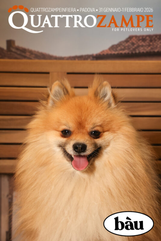 Concorso Fotografico - QuattroZampe in Fiera - Padova - Gennaio/Febbraio 2026