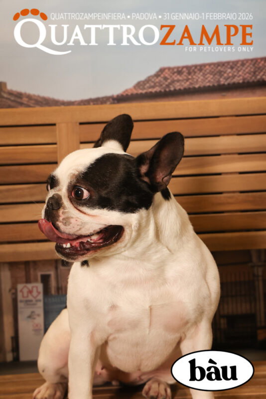 Concorso Fotografico - QuattroZampe in Fiera - Padova - Gennaio/Febbraio 2026