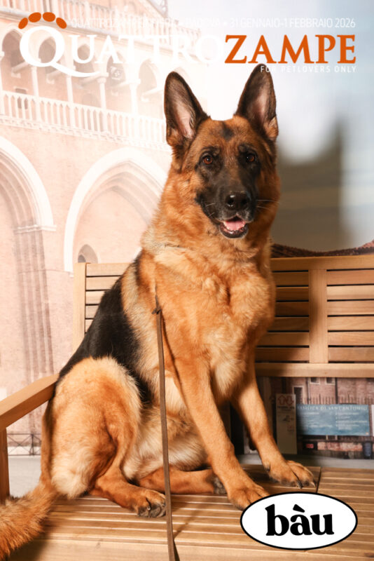 Concorso Fotografico - QuattroZampe in Fiera - Padova - Gennaio/Febbraio 2026