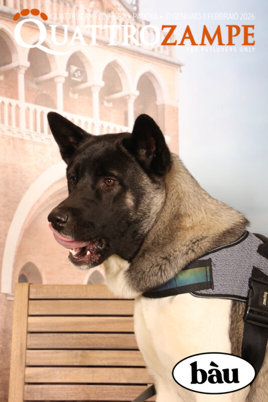 Concorso Fotografico - QuattroZampe in Fiera - Padova - Gennaio/Febbraio 2026