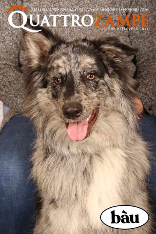 Concorso Fotografico - QuattroZampe in Fiera - Padova - Gennaio/Febbraio 2026