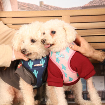 Concorso Fotografico - QuattroZampe in Fiera - Padova - Gennaio/Febbraio 2026