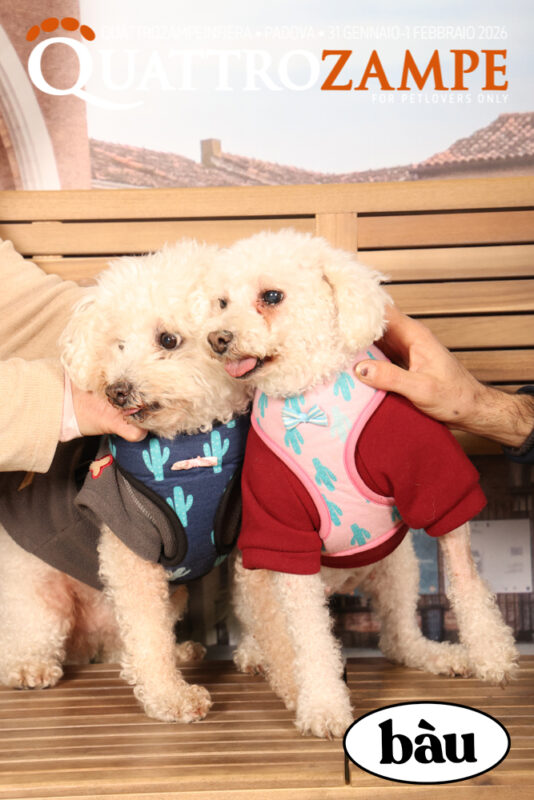 Concorso Fotografico - QuattroZampe in Fiera - Padova - Gennaio/Febbraio 2026