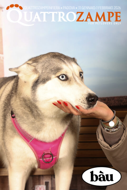 Concorso Fotografico - QuattroZampe in Fiera - Padova - Gennaio/Febbraio 2026