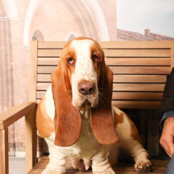 Concorso Fotografico - QuattroZampe in Fiera - Padova - Gennaio/Febbraio 2026