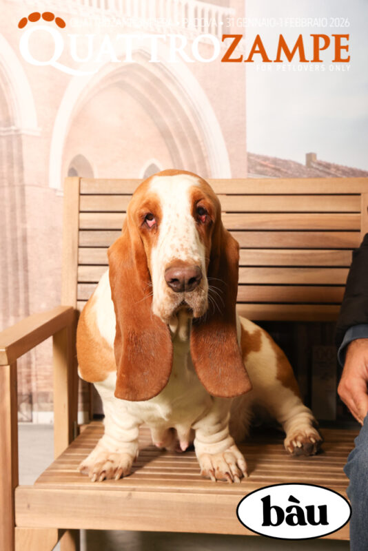 Concorso Fotografico - QuattroZampe in Fiera - Padova - Gennaio/Febbraio 2026