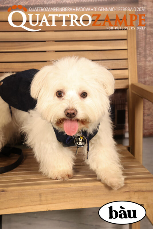 Concorso Fotografico - QuattroZampe in Fiera - Padova - Gennaio/Febbraio 2026