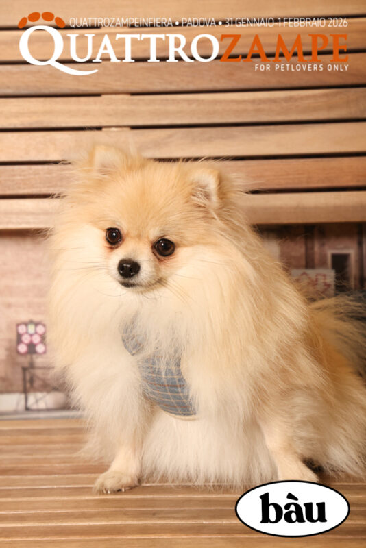 Concorso Fotografico - QuattroZampe in Fiera - Padova - Gennaio/Febbraio 2026