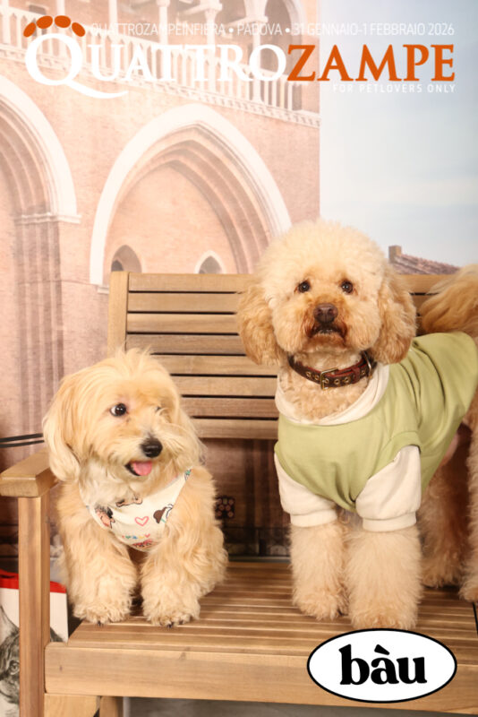 Concorso Fotografico - QuattroZampe in Fiera - Padova - Gennaio/Febbraio 2026