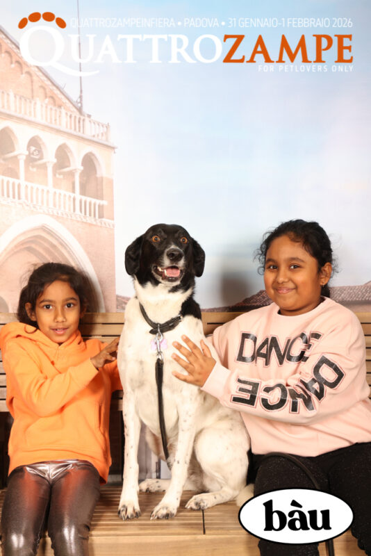 Concorso Fotografico - QuattroZampe in Fiera - Padova - Gennaio/Febbraio 2026