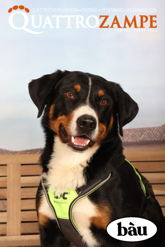 Concorso Fotografico - QuattroZampe in Fiera - Padova - Gennaio/Febbraio 2026