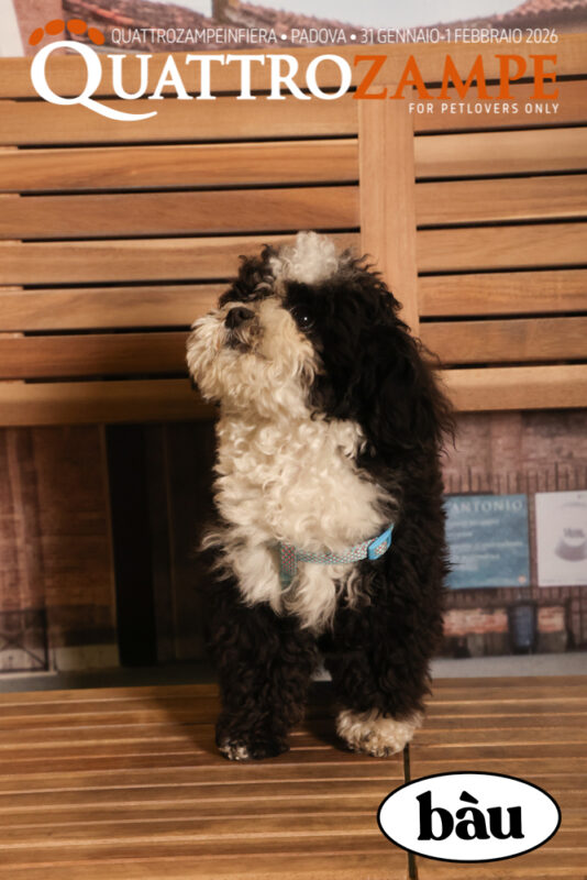 Concorso Fotografico - QuattroZampe in Fiera - Padova - Gennaio/Febbraio 2026