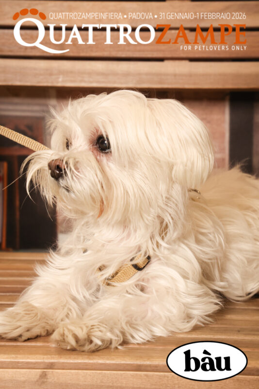 Concorso Fotografico - QuattroZampe in Fiera - Padova - Gennaio/Febbraio 2026