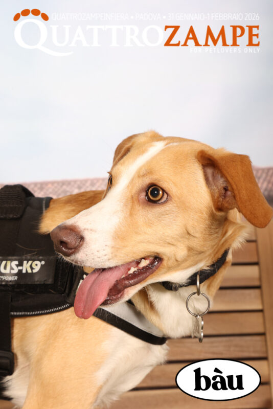 Concorso Fotografico - QuattroZampe in Fiera - Padova - Gennaio/Febbraio 2026