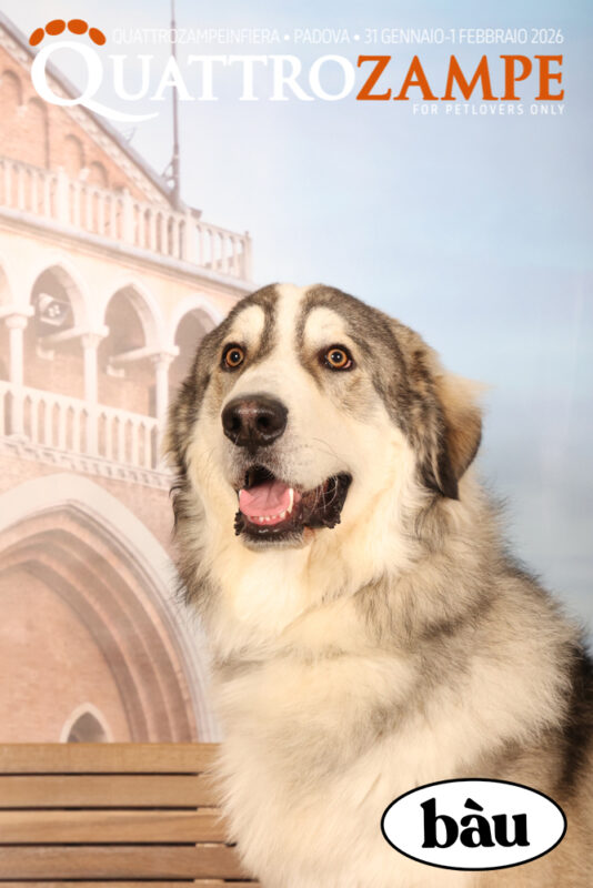 Concorso Fotografico - QuattroZampe in Fiera - Padova - Gennaio/Febbraio 2026