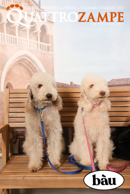 Concorso Fotografico - QuattroZampe in Fiera - Padova - Gennaio/Febbraio 2026