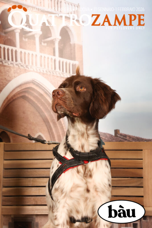 Concorso Fotografico - QuattroZampe in Fiera - Padova - Gennaio/Febbraio 2026