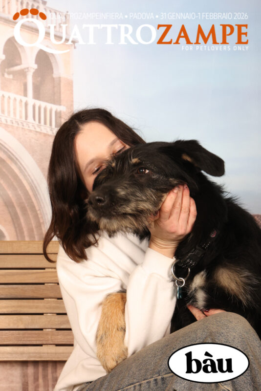 Concorso Fotografico - QuattroZampe in Fiera - Padova - Gennaio/Febbraio 2026