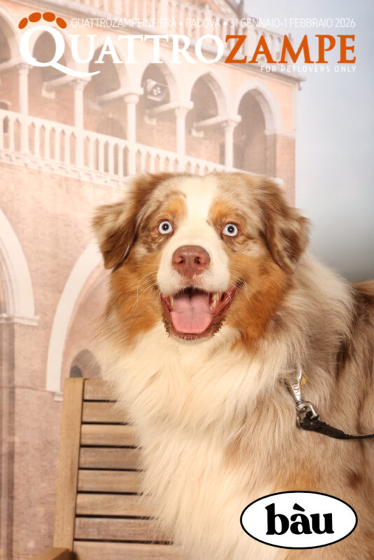 Concorso Fotografico - QuattroZampe in Fiera - Padova - Gennaio/Febbraio 2026