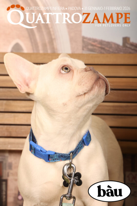Concorso Fotografico - QuattroZampe in Fiera - Padova - Gennaio/Febbraio 2026