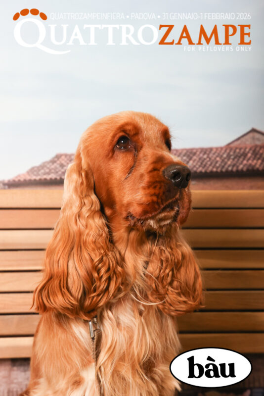 Concorso Fotografico - QuattroZampe in Fiera - Padova - Gennaio/Febbraio 2026
