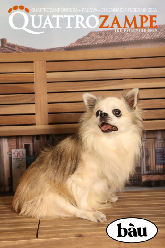 Concorso Fotografico - QuattroZampe in Fiera - Padova - Gennaio/Febbraio 2026