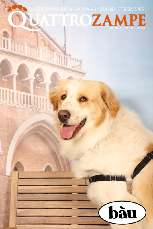 Concorso Fotografico - QuattroZampe in Fiera - Padova - Gennaio/Febbraio 2026