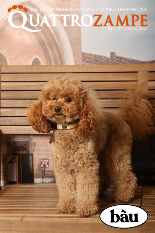 Concorso Fotografico - QuattroZampe in Fiera - Padova - Gennaio/Febbraio 2026