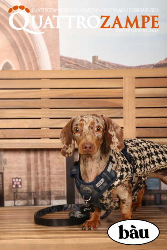 Concorso Fotografico - QuattroZampe in Fiera - Padova - Gennaio/Febbraio 2026