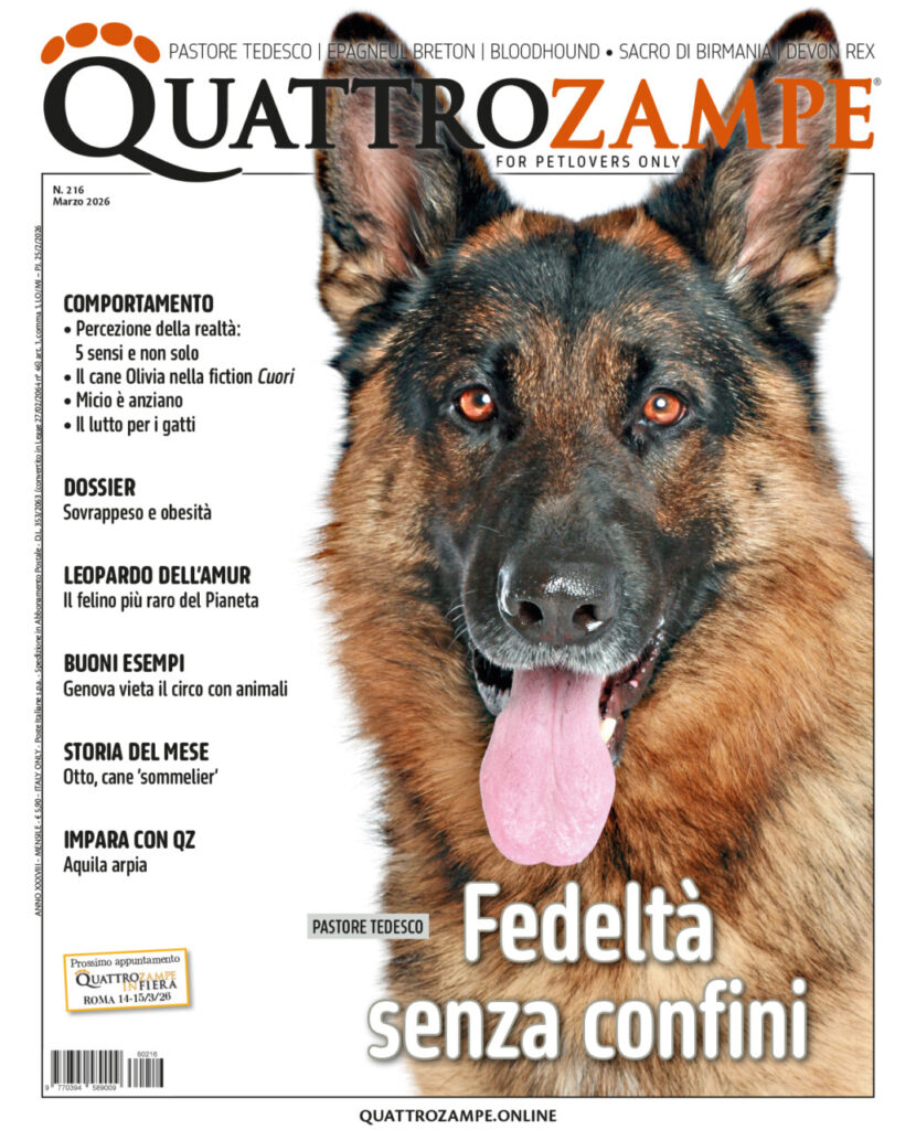 È in edicola il numero di marzo 2026 di Quattrozampe