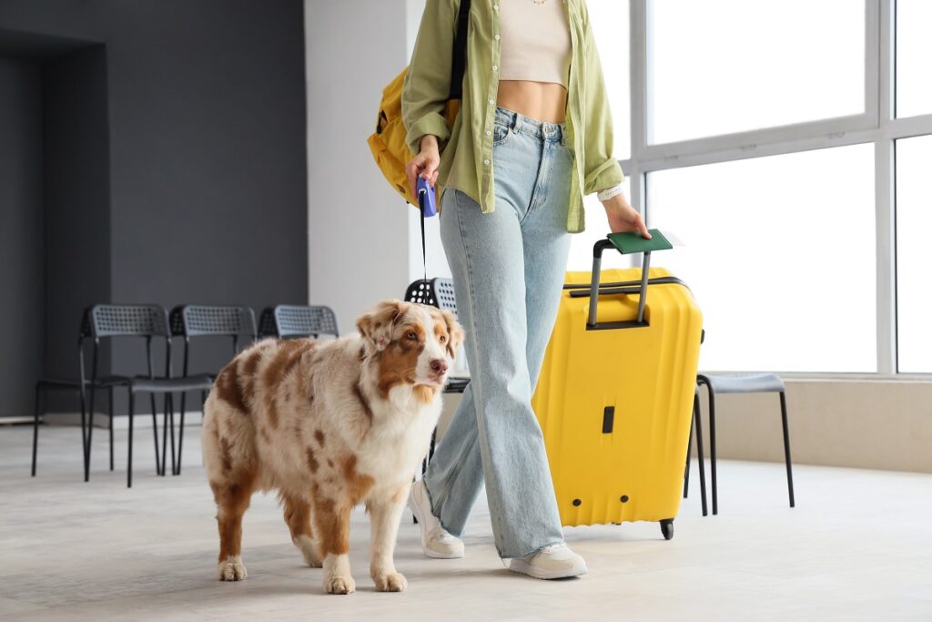 Viaggi con Fido e Micio? Nuova Pet Area all’aeroporto di Cagliari