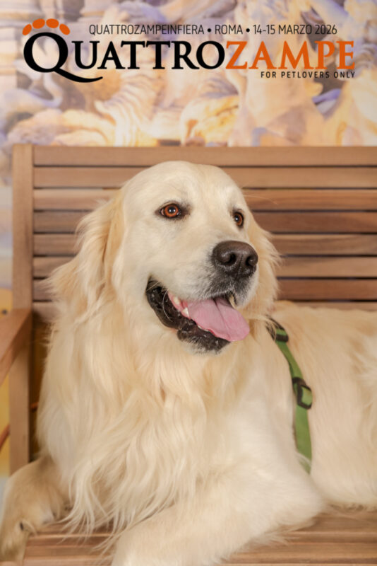 Concorso Fotografico - QuattroZampe in Fiera - Roma - Marzo 2026