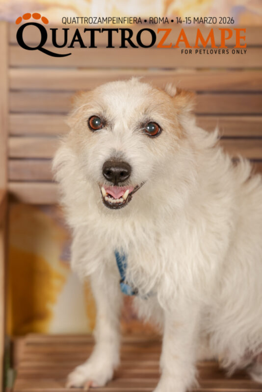 Concorso Fotografico - QuattroZampe in Fiera - Roma - Marzo 2026