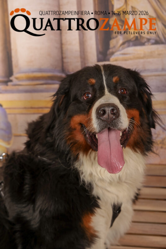 Concorso Fotografico - QuattroZampe in Fiera - Roma - Marzo 2026