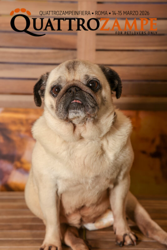 Concorso Fotografico - QuattroZampe in Fiera - Roma - Marzo 2026