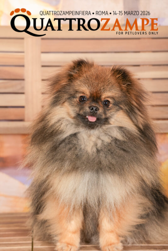 Concorso Fotografico - QuattroZampe in Fiera - Roma - Marzo 2026