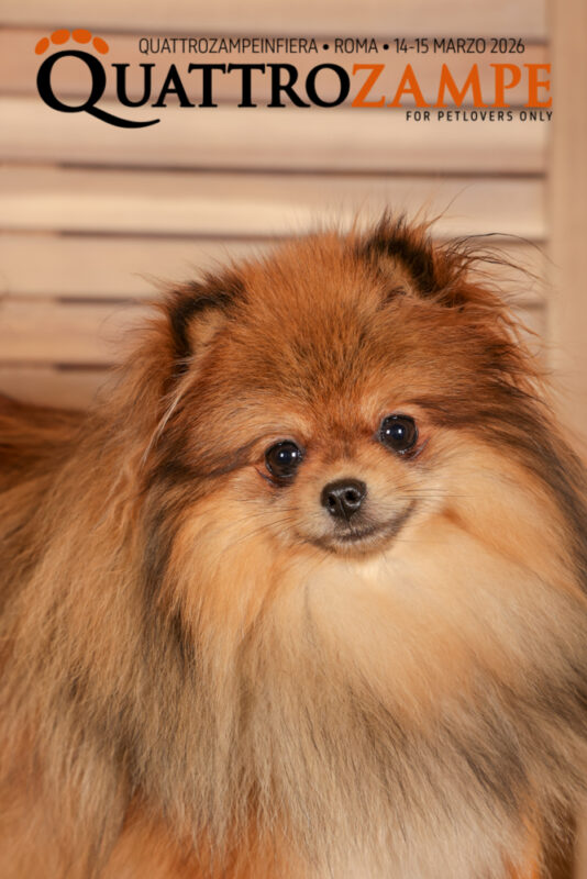 Concorso Fotografico - QuattroZampe in Fiera - Roma - Marzo 2026