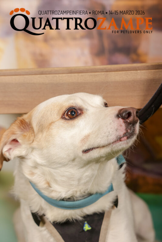 Concorso Fotografico - QuattroZampe in Fiera - Roma - Marzo 2026