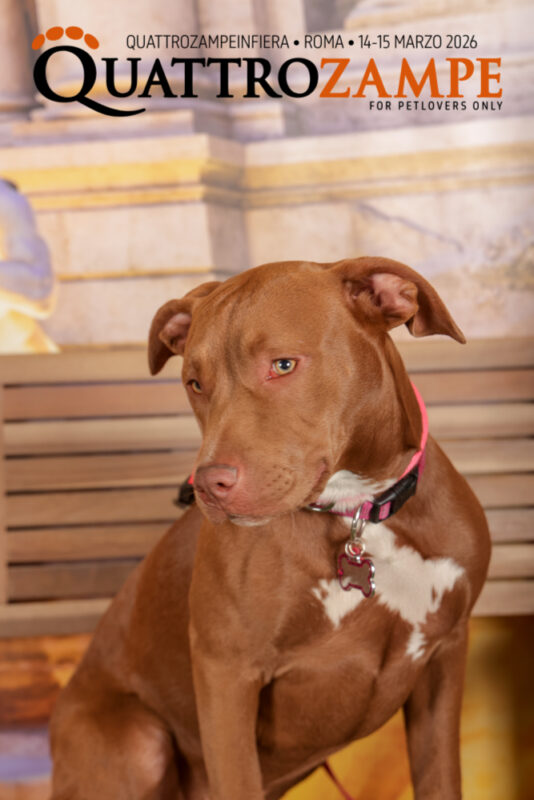 Concorso Fotografico - QuattroZampe in Fiera - Roma - Marzo 2026