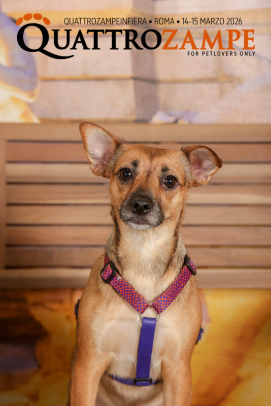 Concorso Fotografico - QuattroZampe in Fiera - Roma - Marzo 2026