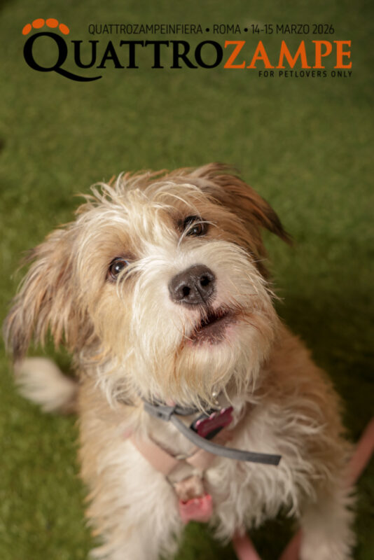 Concorso Fotografico - QuattroZampe in Fiera - Roma - Marzo 2026