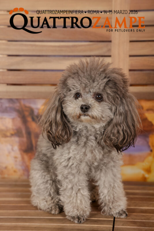Concorso Fotografico - QuattroZampe in Fiera - Roma - Marzo 2026